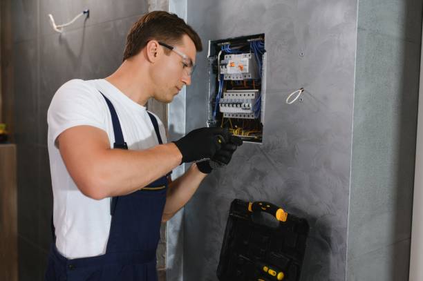 Best Electric Panel Repair  in Serenada, TX